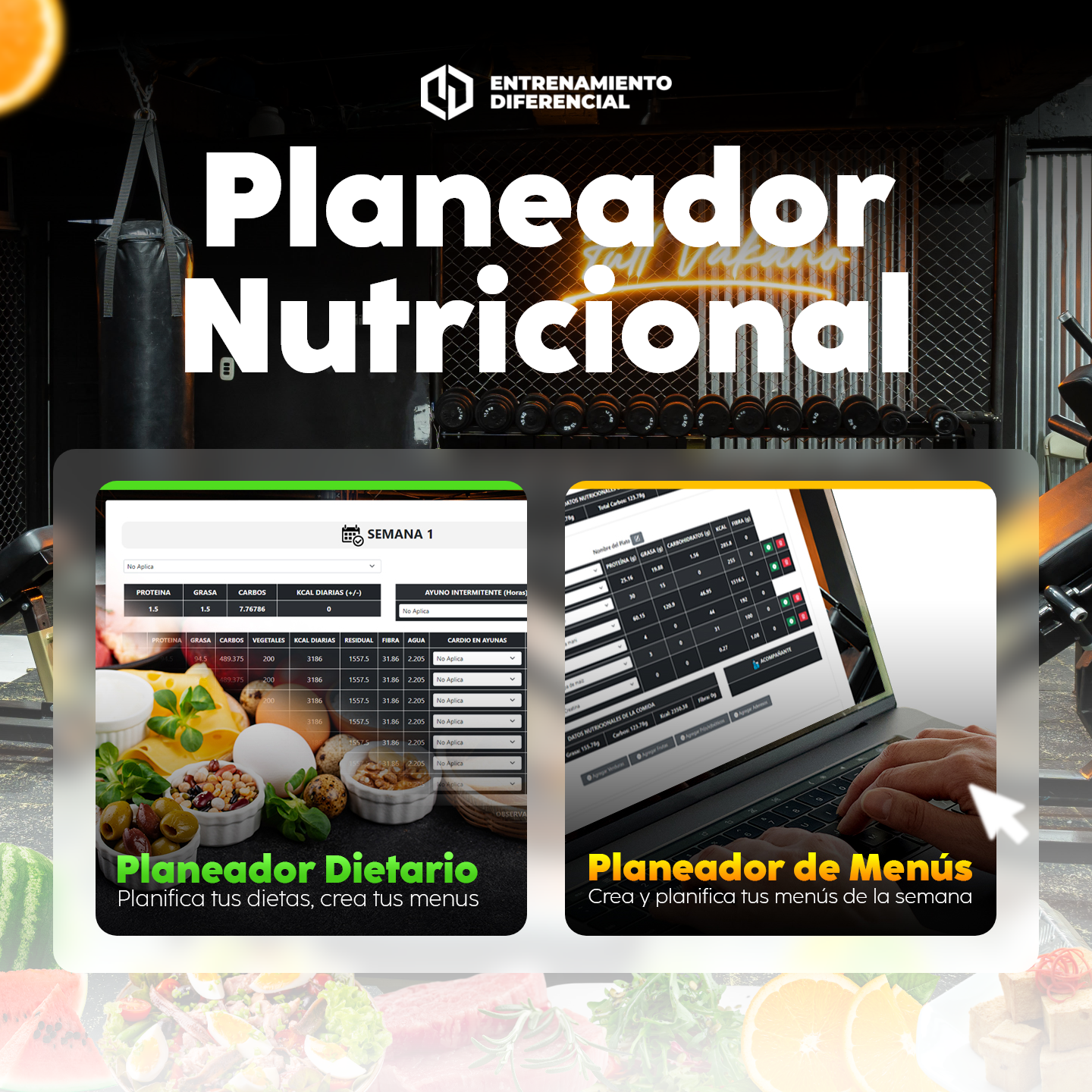 Plan Basic - Software de Nutrición