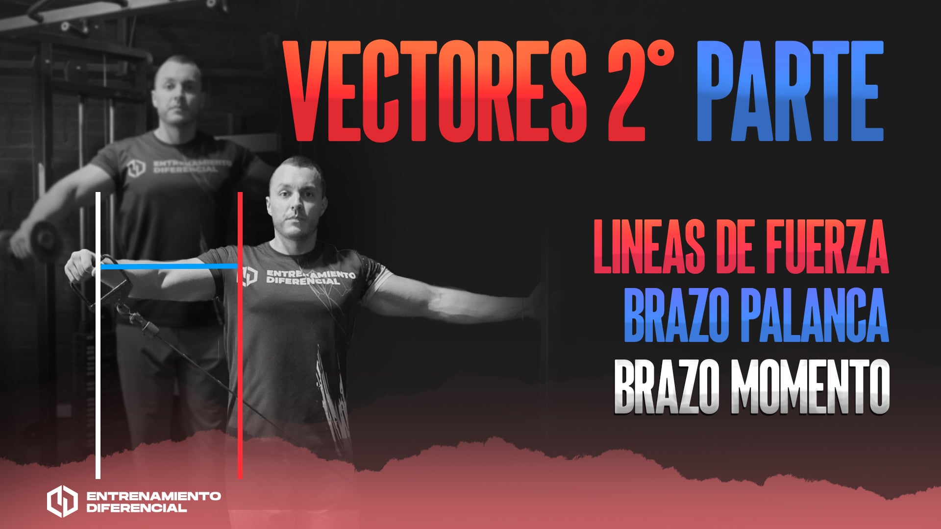 Vectores 2
