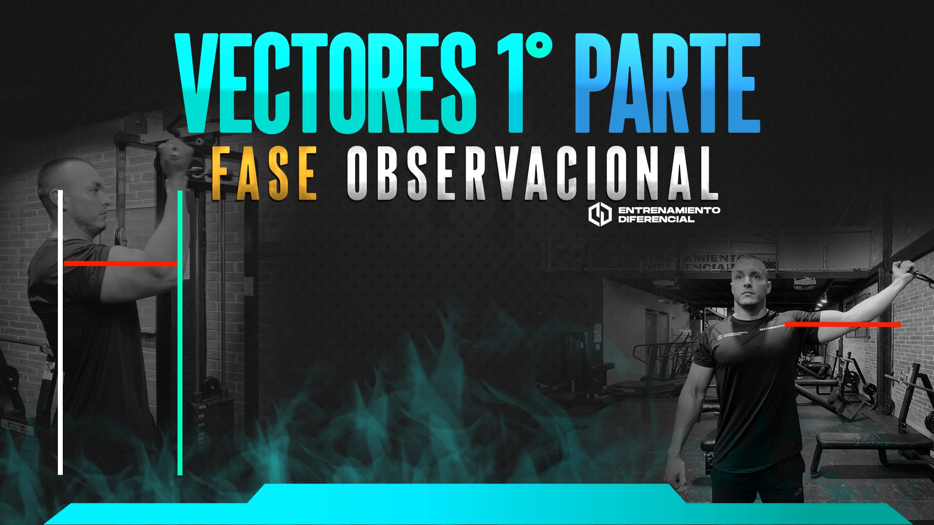 Vectores Fase Observacional