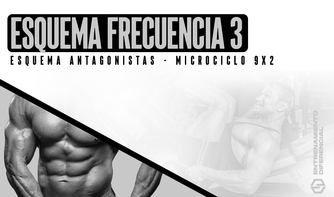 Esquema antagonistas - microciclo 9x2