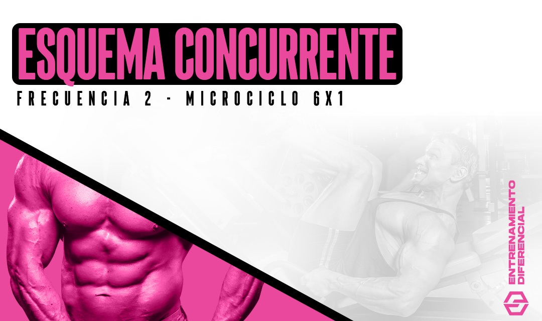 Esquema concurrente - Microciclo 6x1