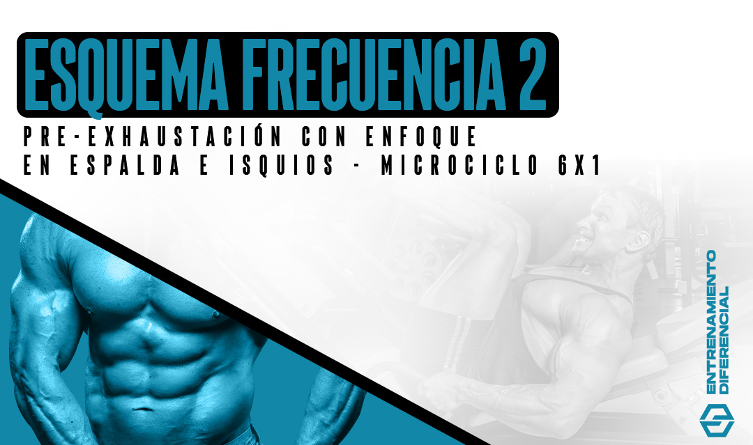 Pre-exhaustación con enfoque en isquios y espalda microciclo 6x1