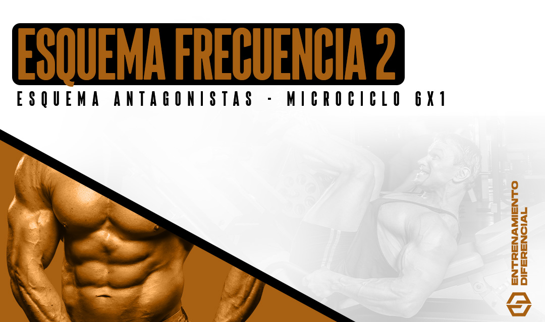 esquema antagonistas -microciclo 6x1