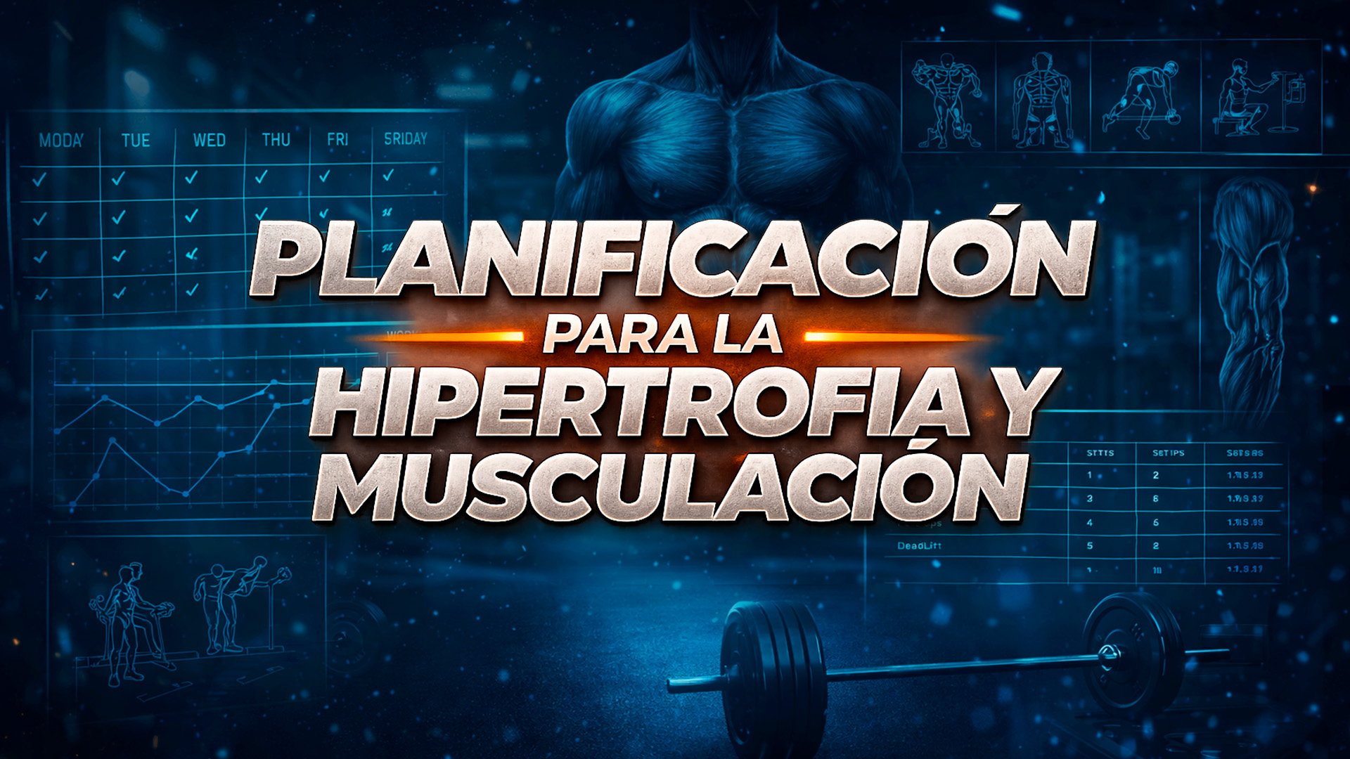 Planificación para la Hipertrofia y Musculación